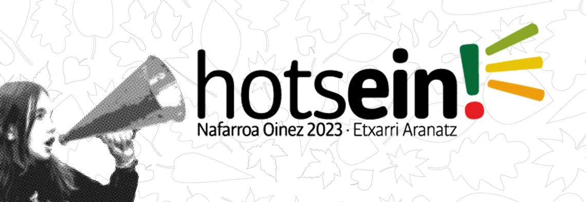 Hotsein Logo